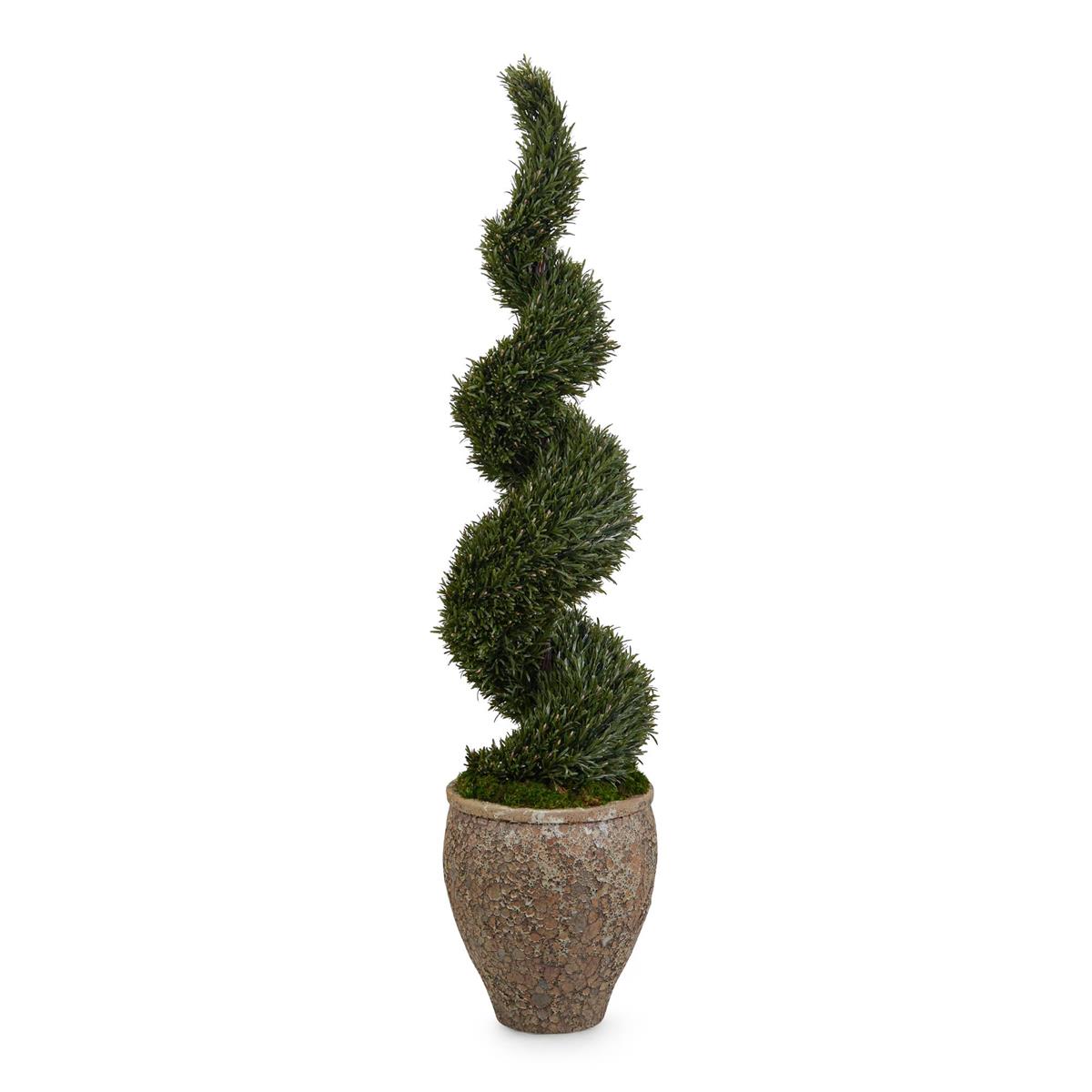 Garden Rosemary Spiral – Art by John Richard | Sutter & Vale