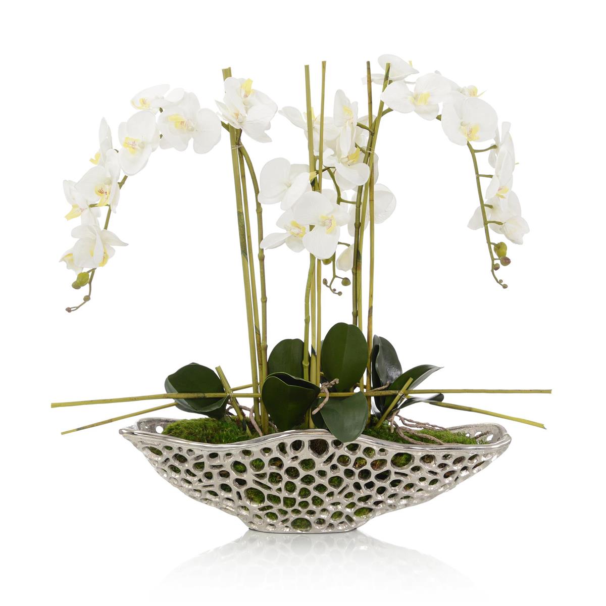 Orchid Display – Art by John Richard | Sutter & Vale