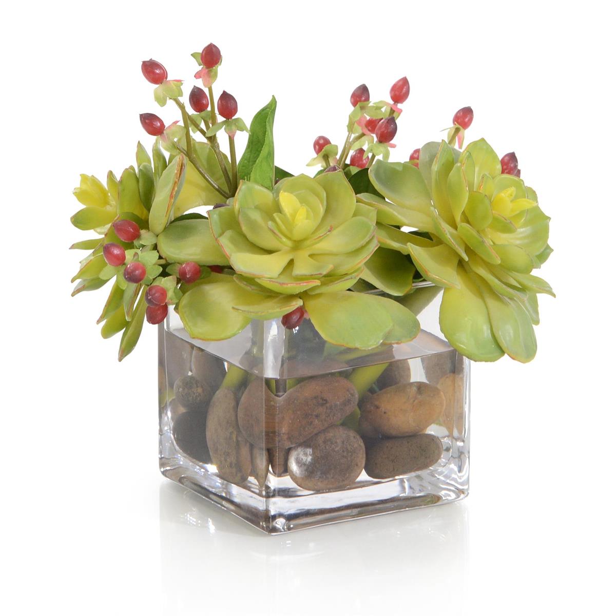 Succulents & Hypericum – Art by John Richard | Sutter & Vale