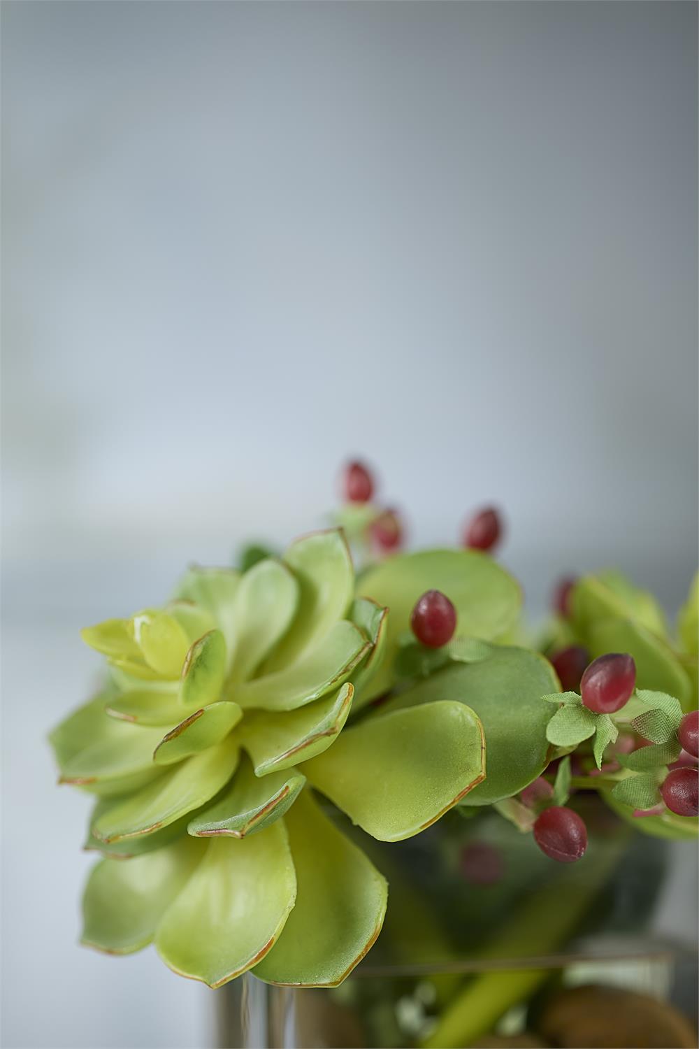 Succulents & Hypericum