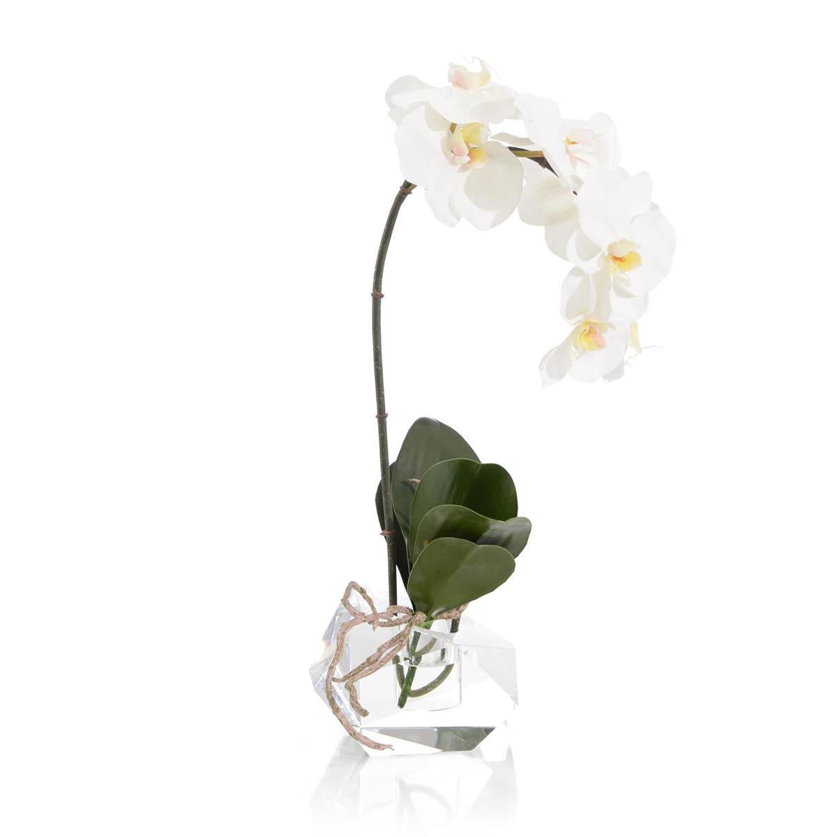 Real Touch Orchid – Art by John Richard | Sutter & Vale