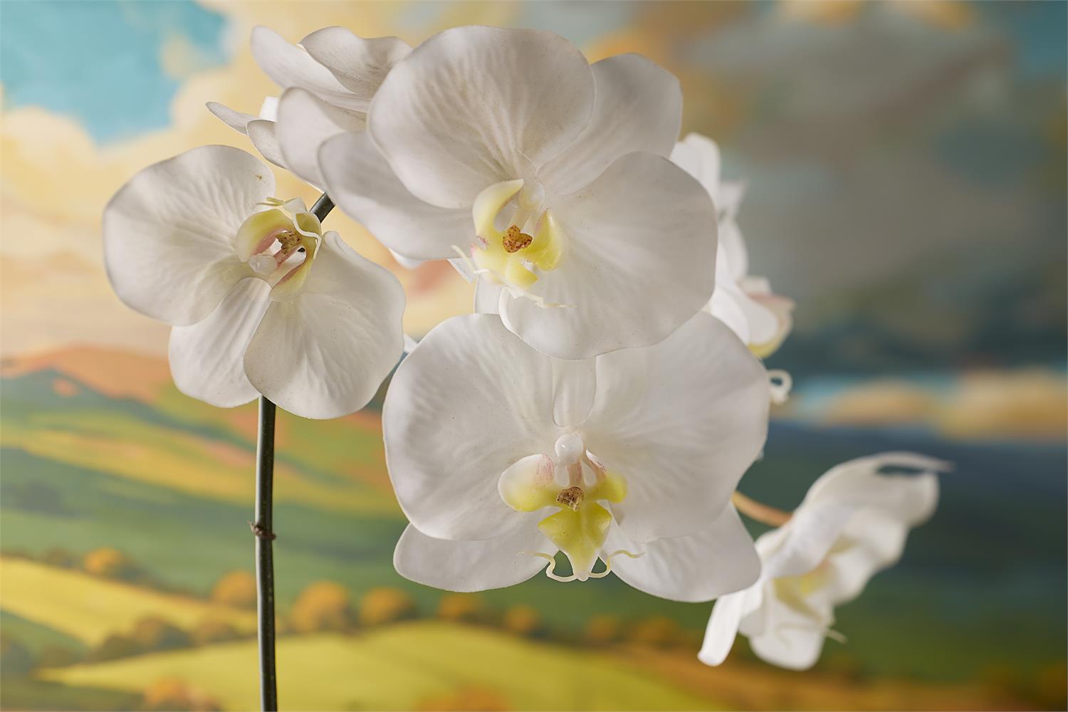 Real Touch Orchid