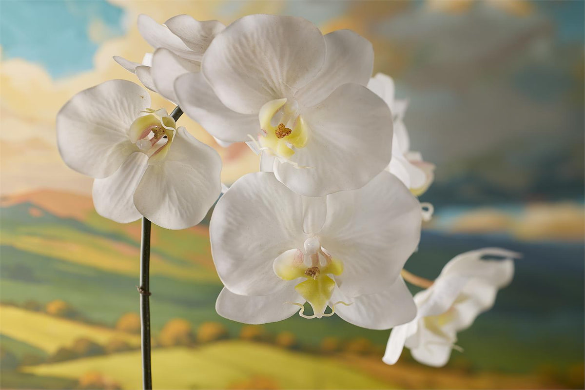 Real Touch Orchid