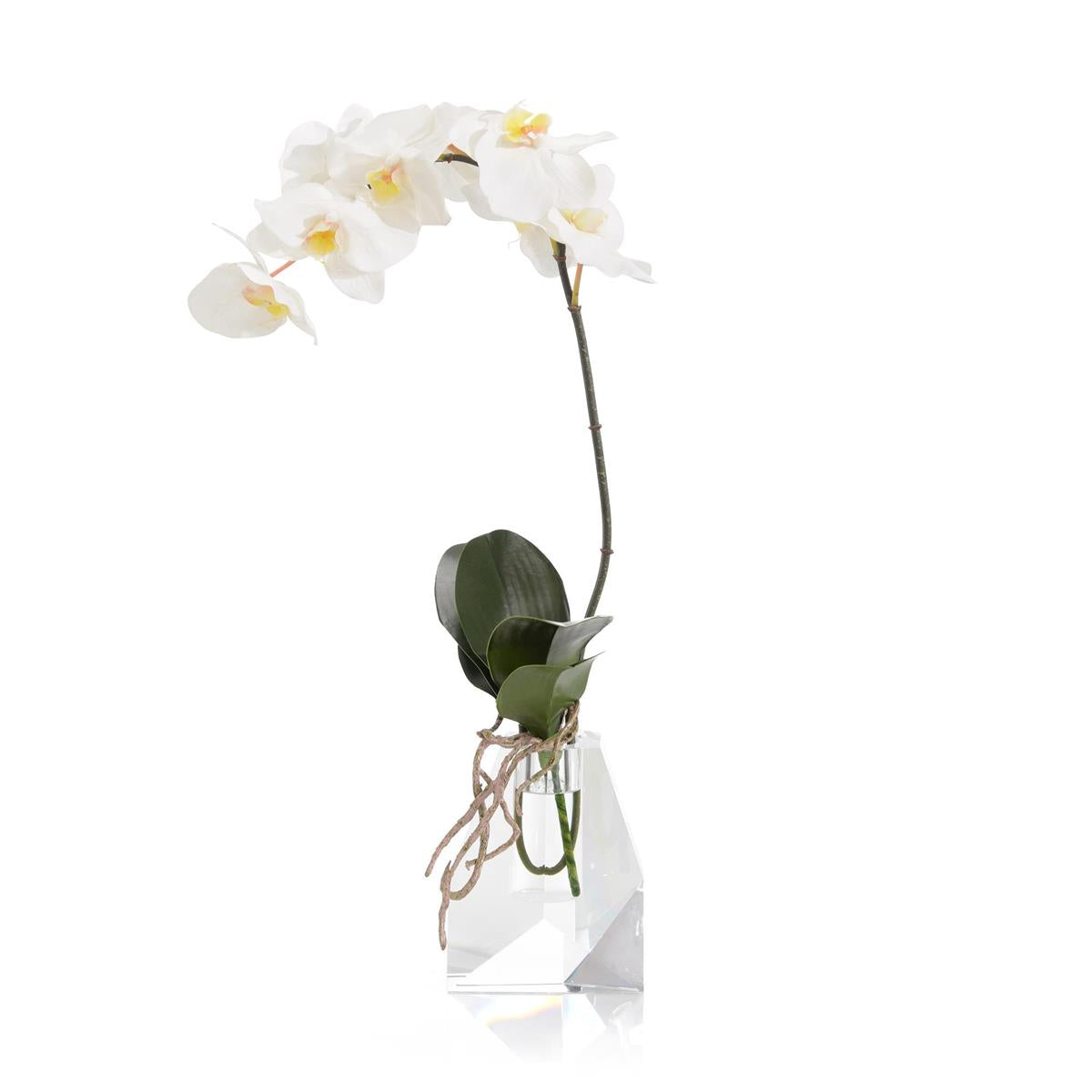 Rock Crystal Real Touch Orchid – Art by John Richard | Sutter & Vale