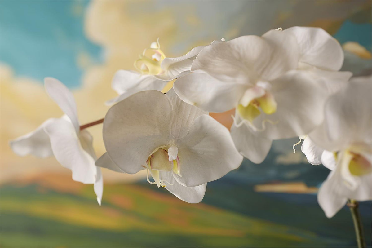 Rock Crystal Real Touch Orchid