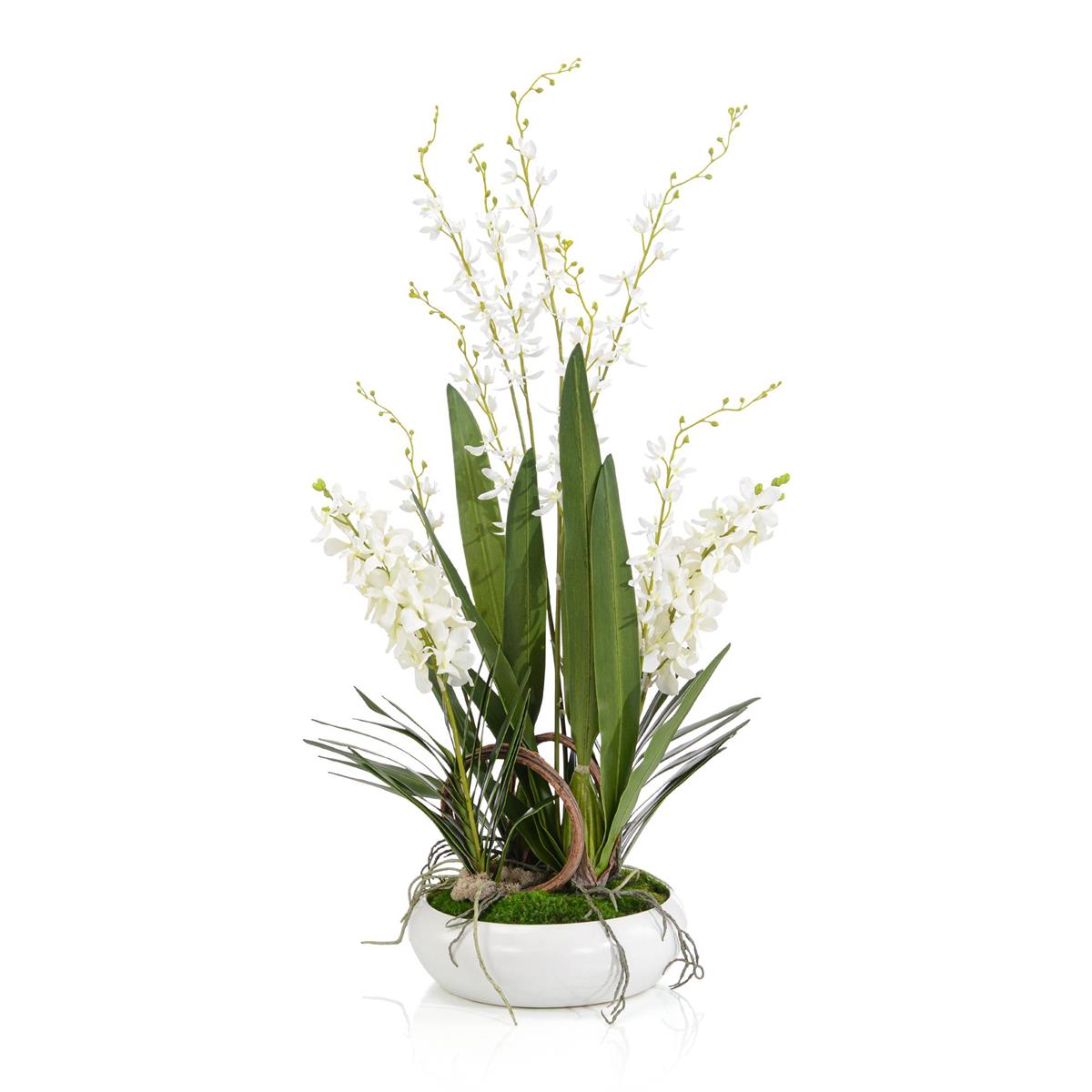 Porcelain Orchids – Art by John Richard | Sutter & Vale