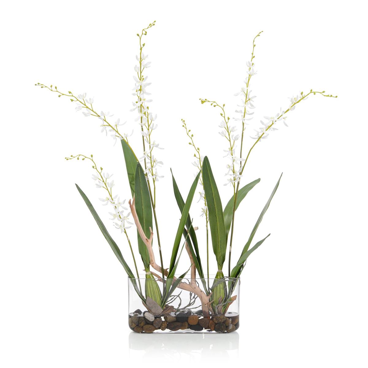 White Pearls by John Richard | Sutter & Vale