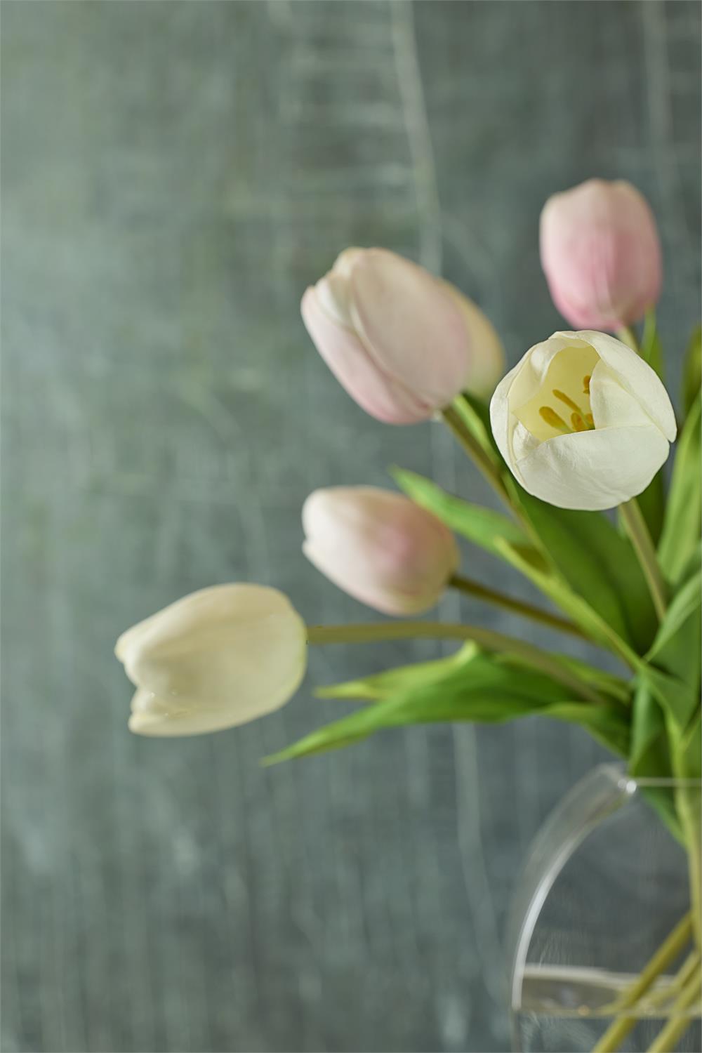 Dancing Tulip Garden