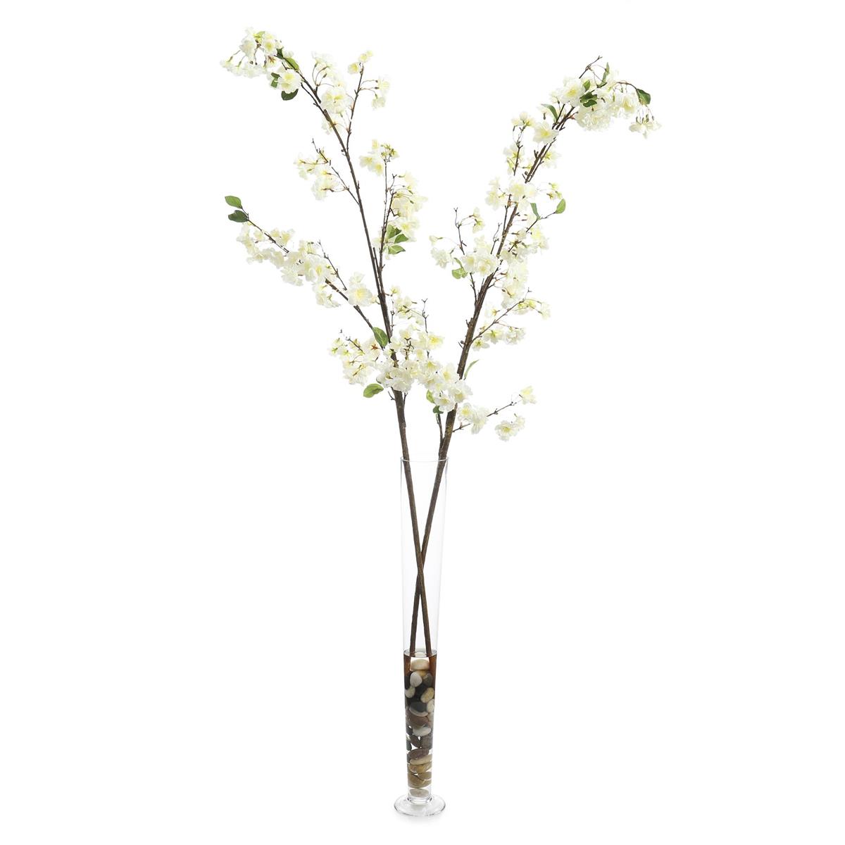 Cream Cherry Blossoms by John Richard | Sutter & Vale