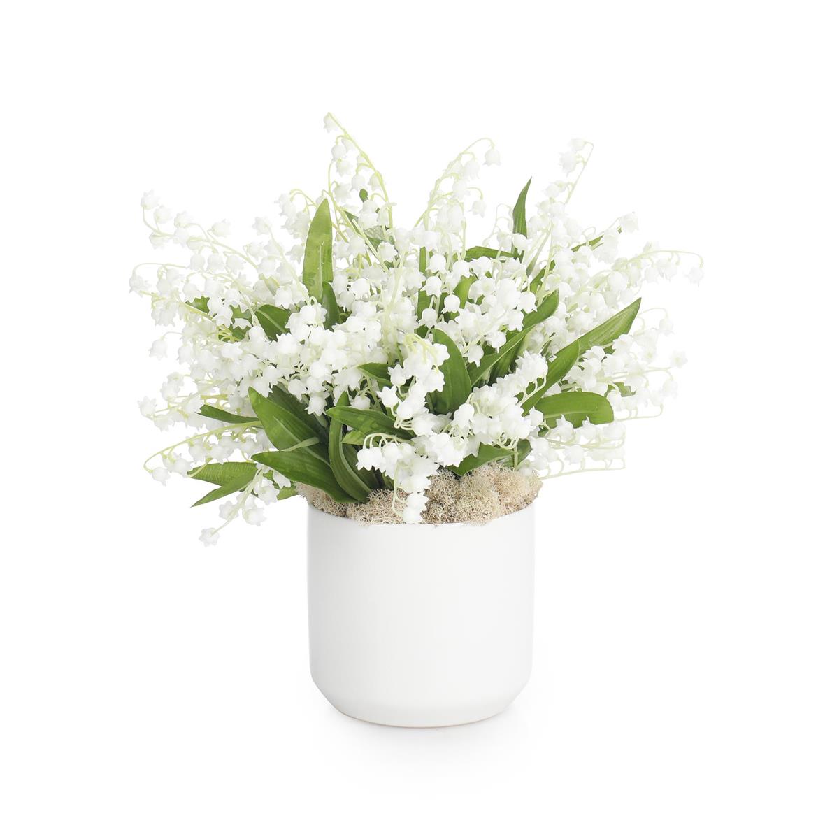 Lily of the Valley by John Richard | Sutter & Vale