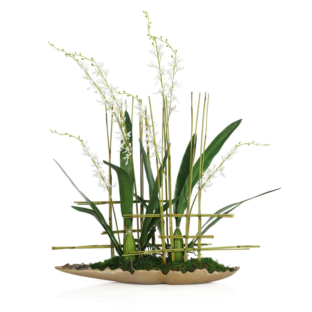 Asian Cymbidiums by John Richard | Sutter & Vale