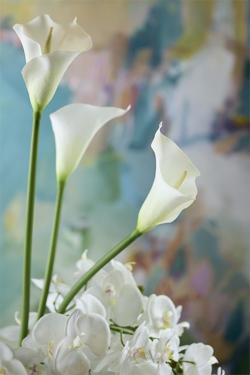 Snow White Blooms
