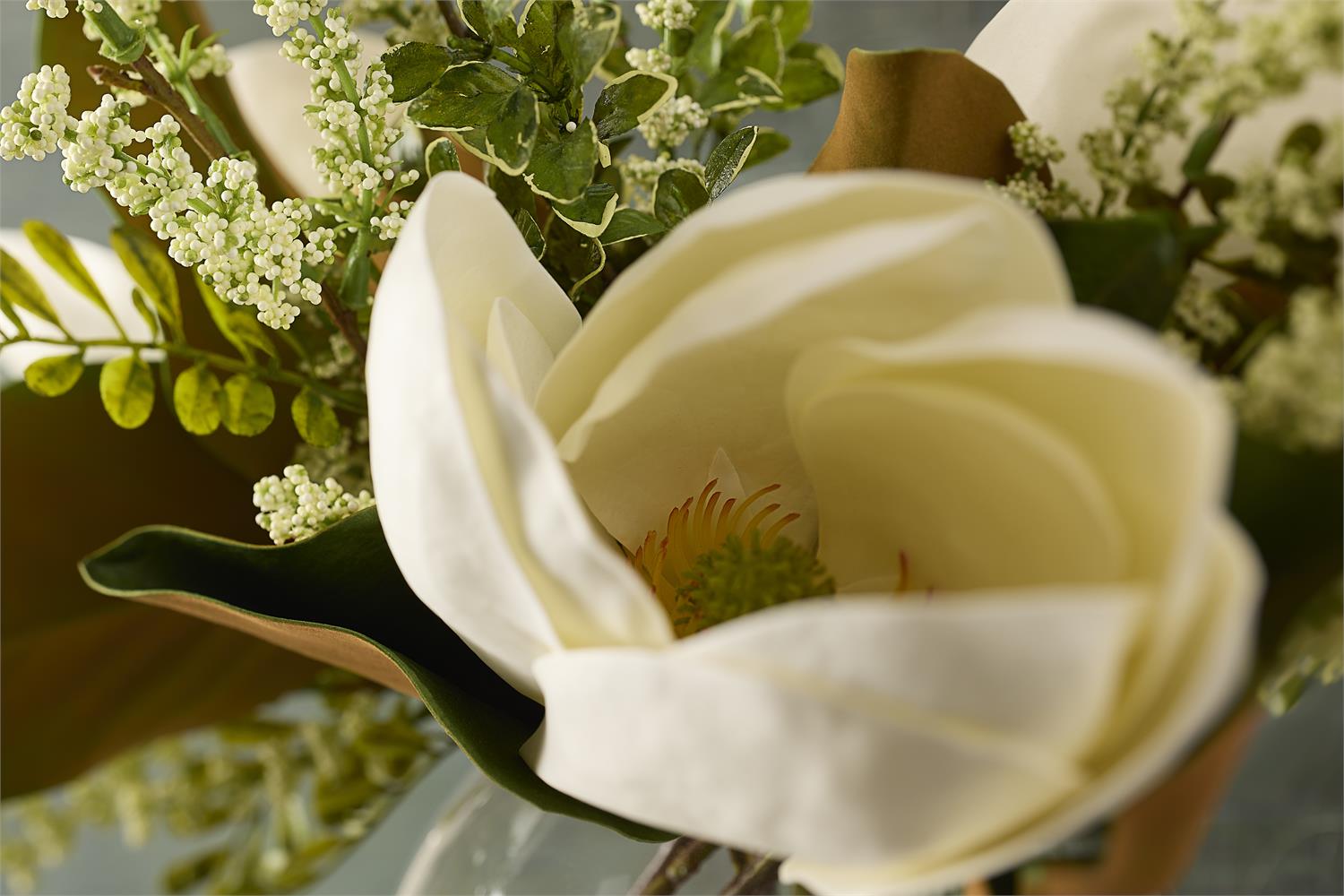 Sweet Magnolias