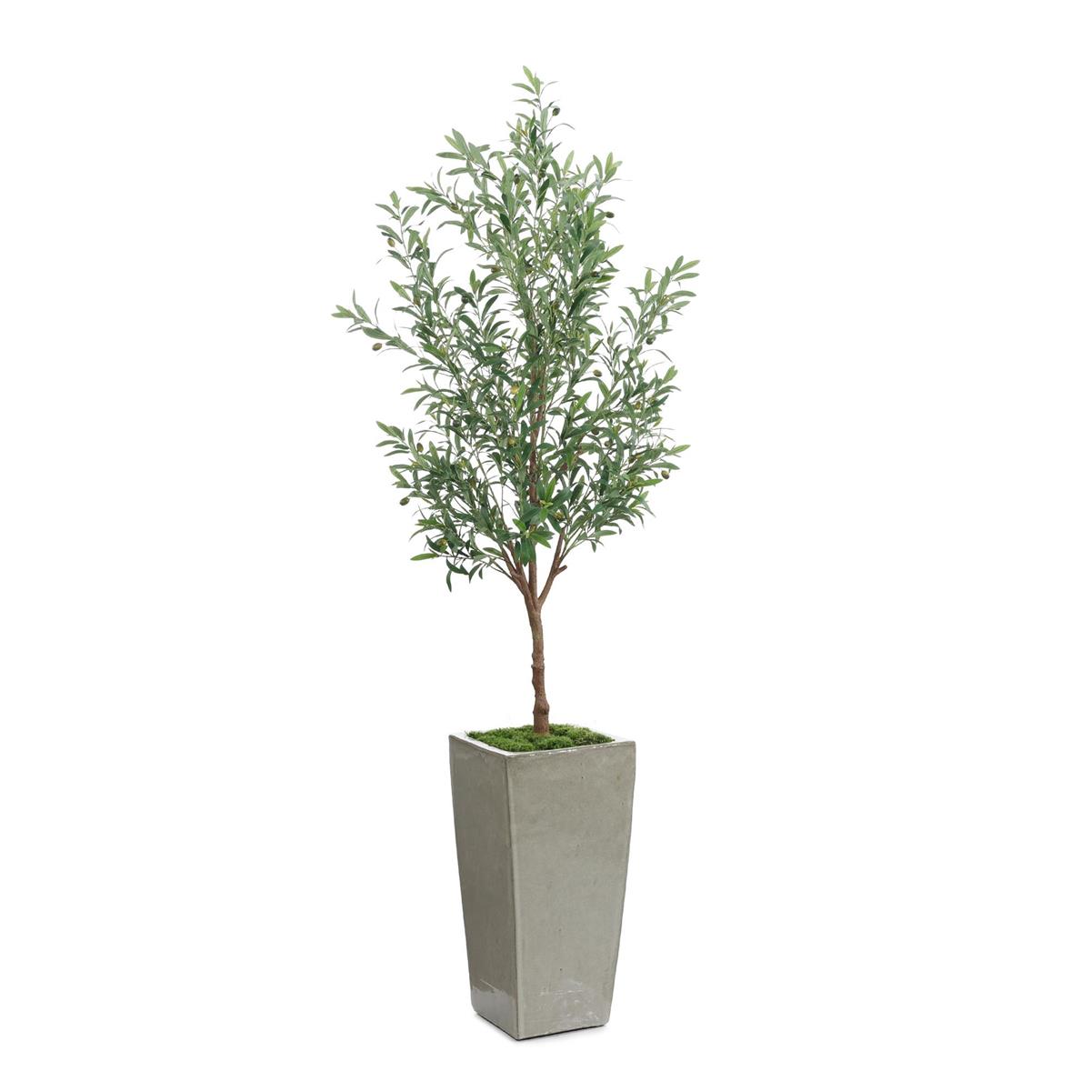Garden Olive – Art by John Richard | Sutter & Vale