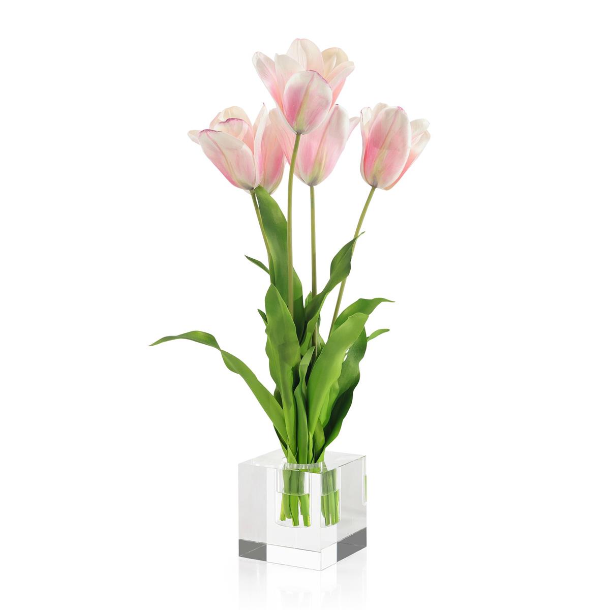 Pink Dutch – Art by John Richard | Sutter & Vale