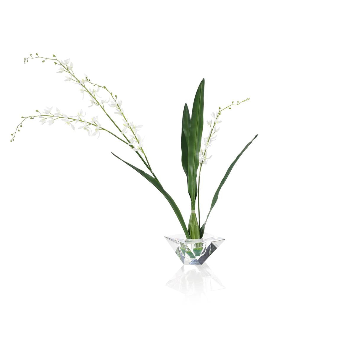 Graceful Cymbidium – Art by John Richard | Sutter & Vale