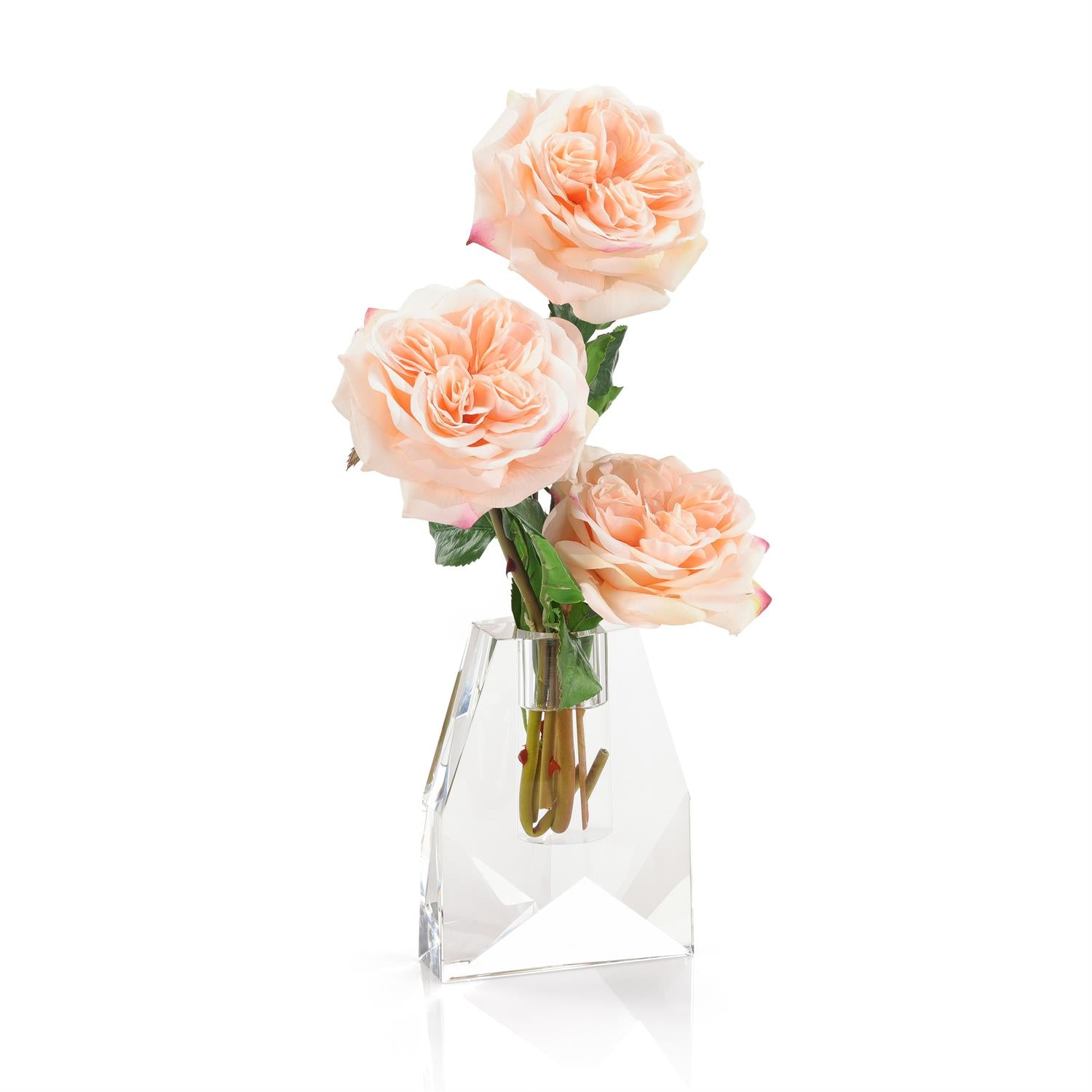 French Garden Rose