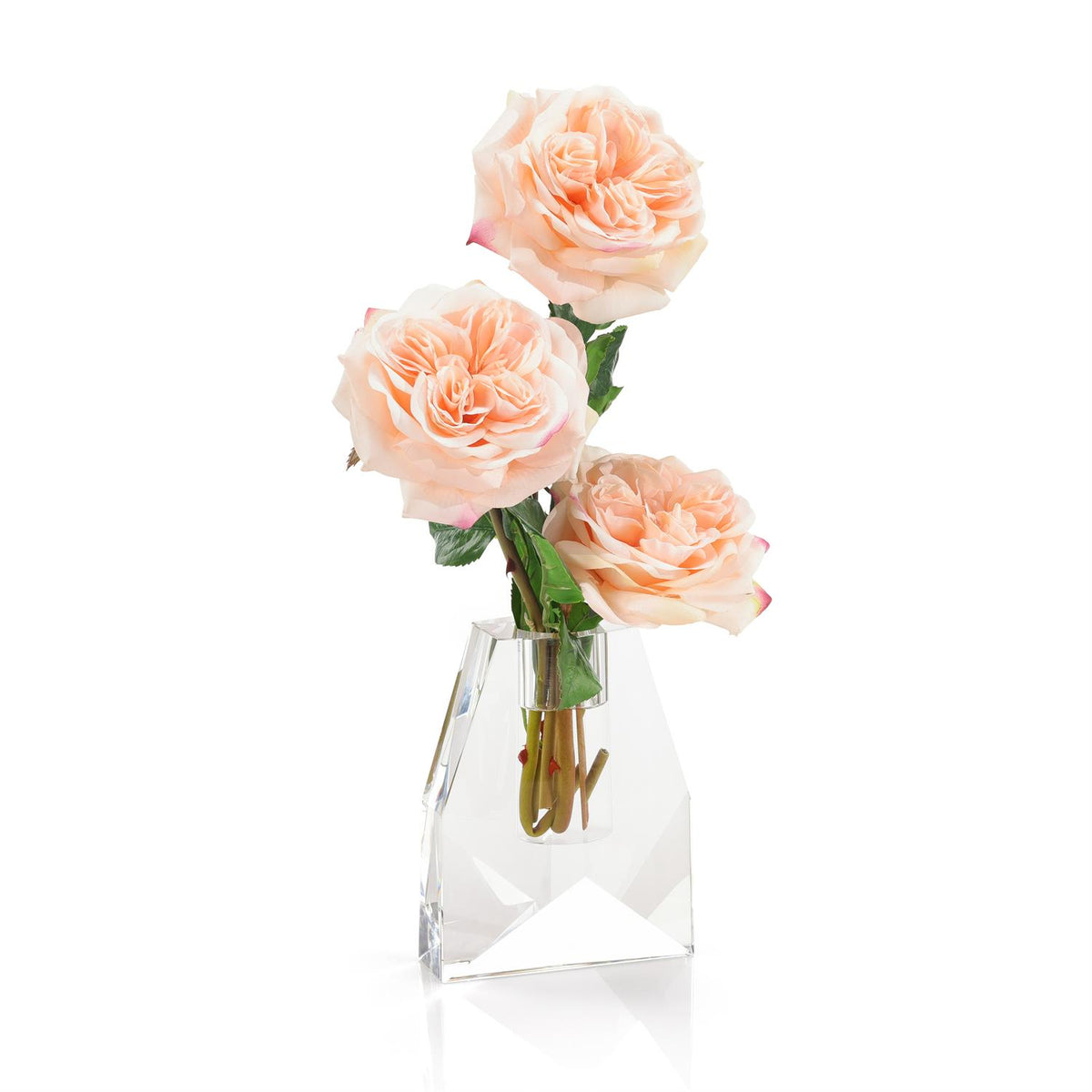 French Garden Rose