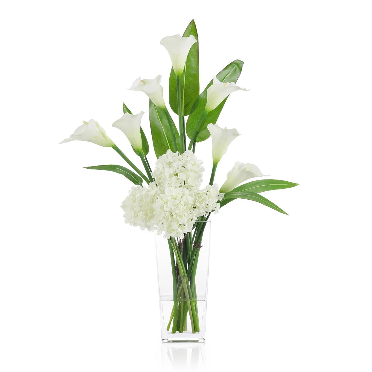 Callas and Pickerel by John Richard | Sutter & Vale