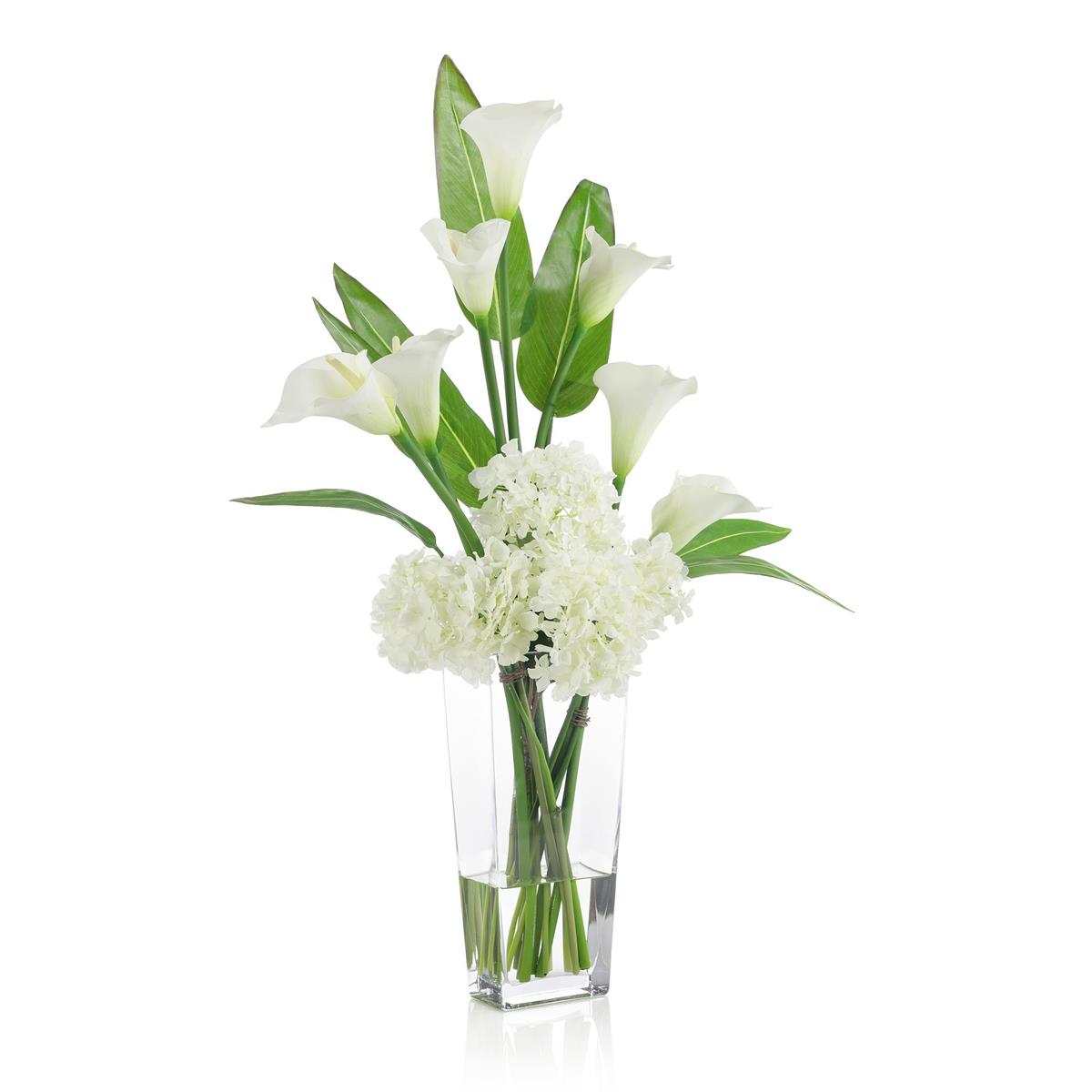 Callas and Pickerel by John Richard | Sutter & Vale