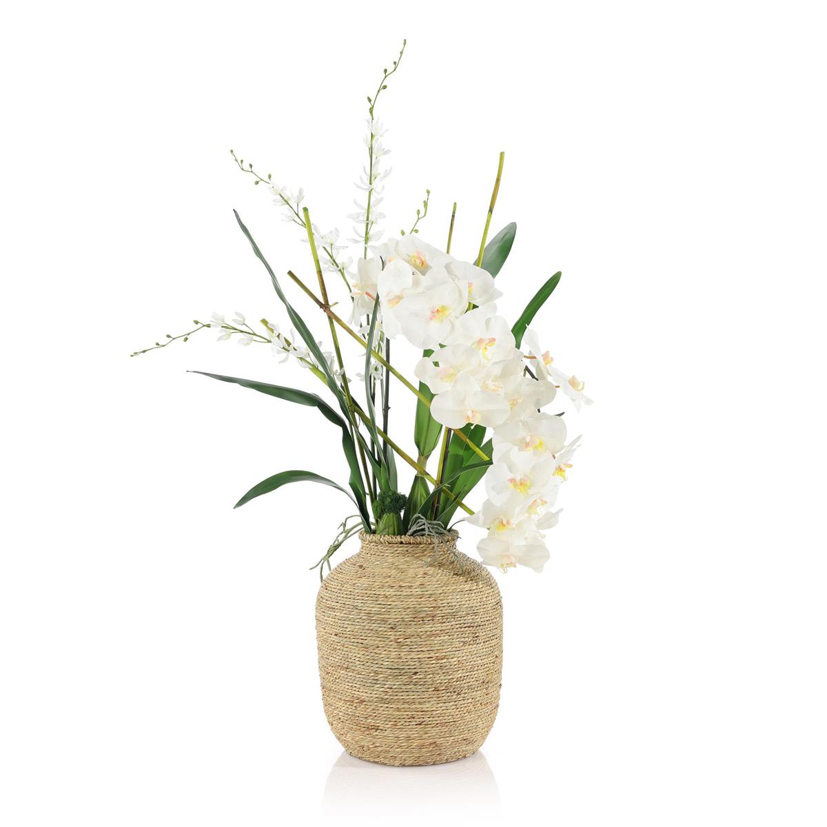 Tahitian Orchids by John Richard | Sutter & Vale