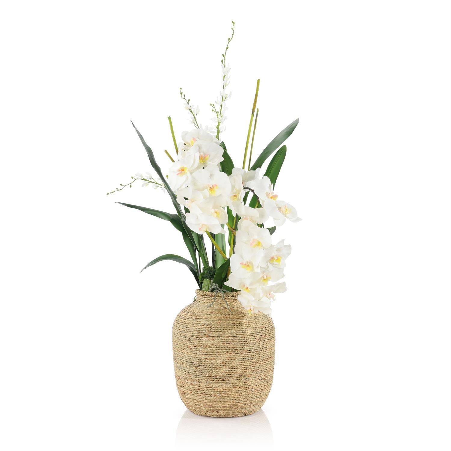 Tahitian Orchids