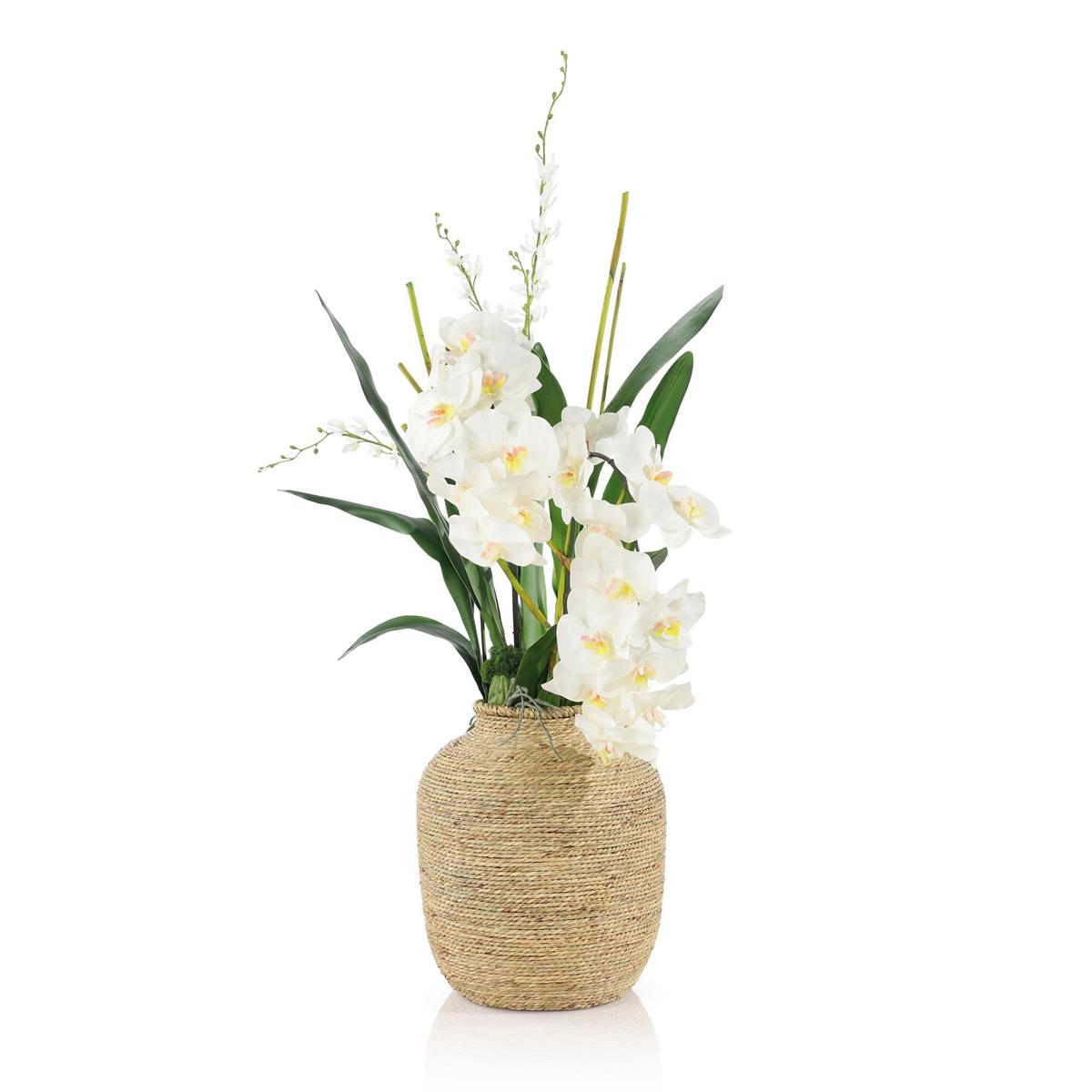 Tahitian Orchids by John Richard | Sutter & Vale