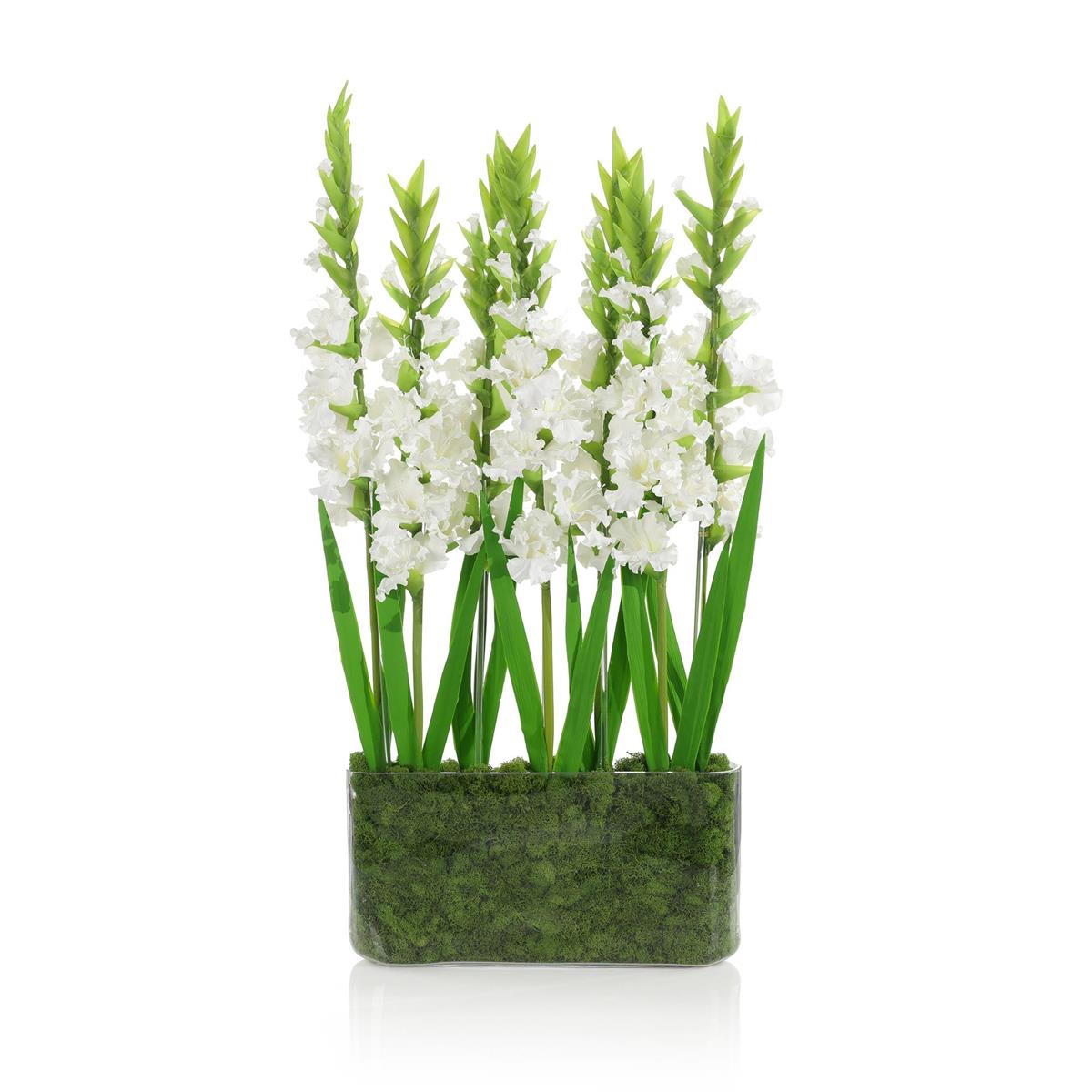 Gladiola Garden – Art by John Richard | Sutter & Vale