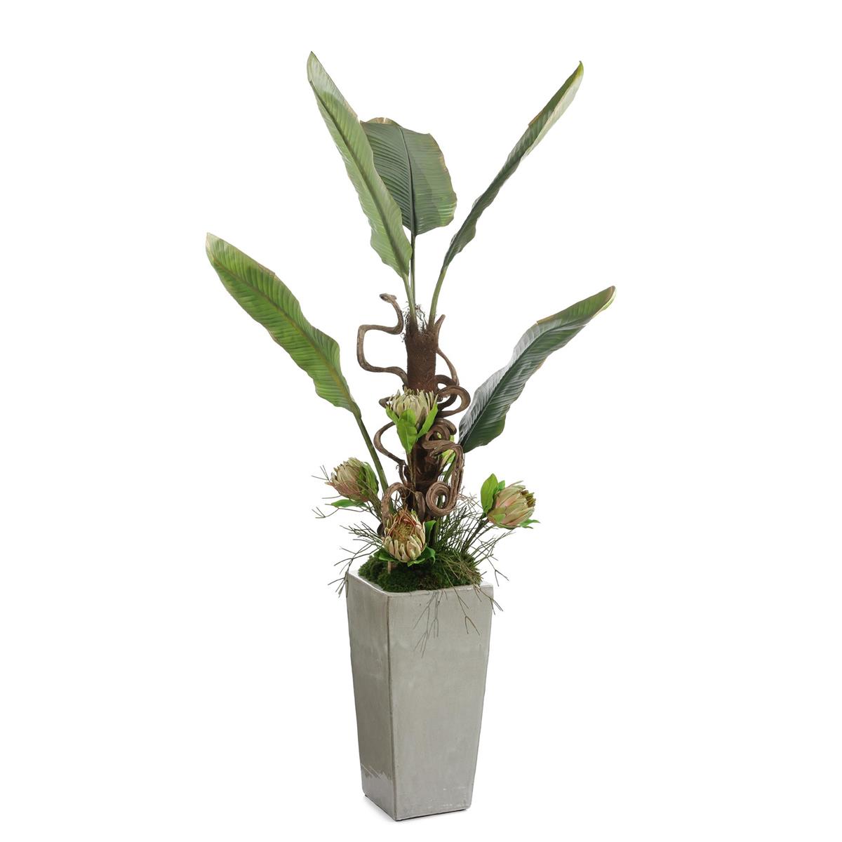 Tropical Vibes by John Richard | Sutter & Vale