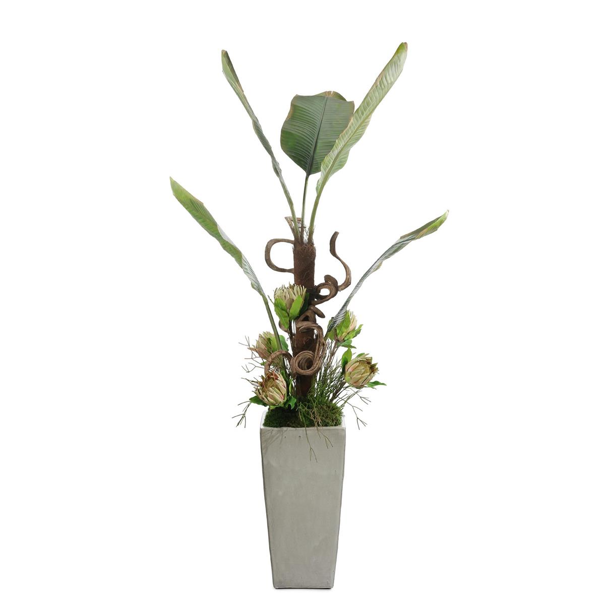 Tropical Vibes by John Richard | Sutter & Vale