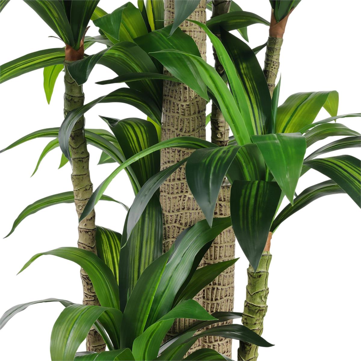 Dracaena Corn Tree by John Richard | Sutter & Vale