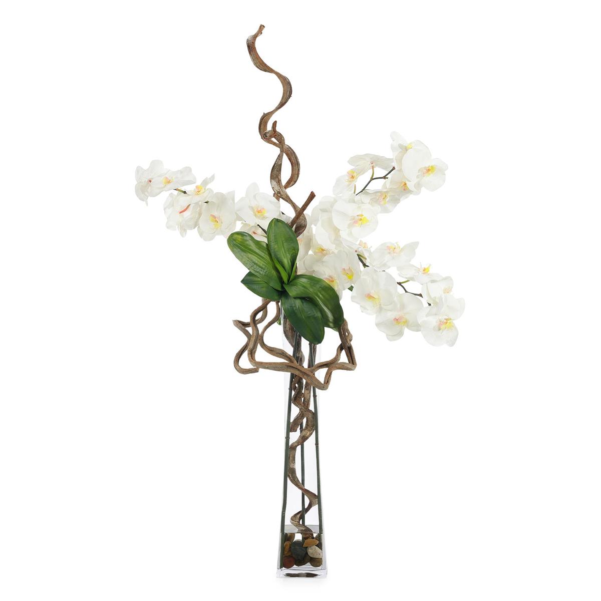 Nature in Bloom – Art by John Richard | Sutter & Vale