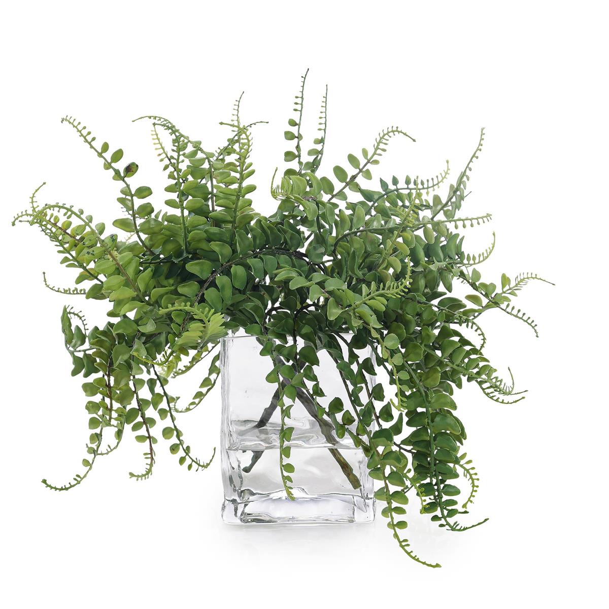 Miniature Forest Fern – Art by John Richard | Sutter & Vale