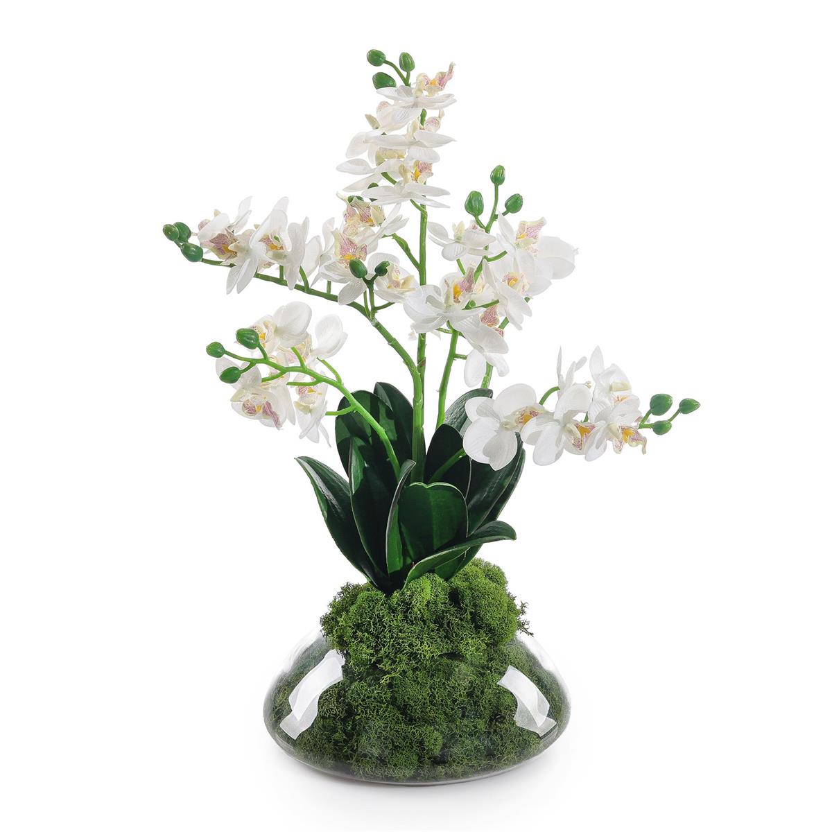 Petite Orchids – Art by John Richard | Sutter & Vale