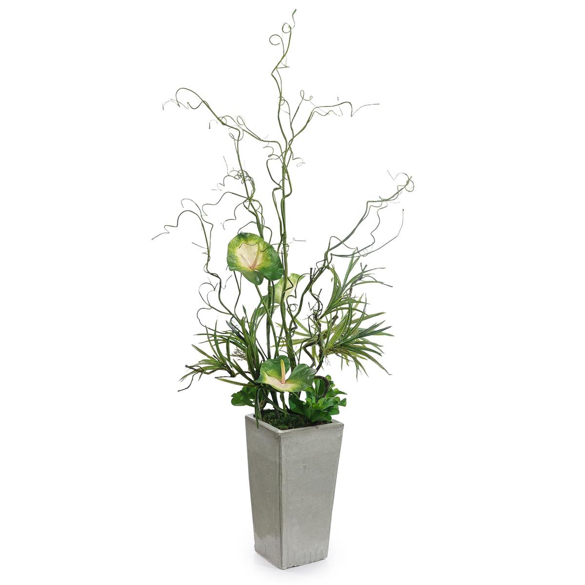 Twisted Curly Willow and Anthurium by John Richard | Sutter & Vale