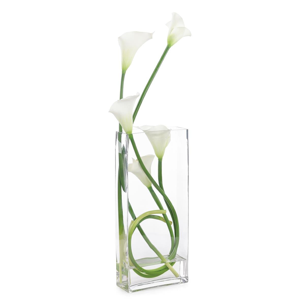 Classic Calla Lilies by John Richard | Sutter & Vale