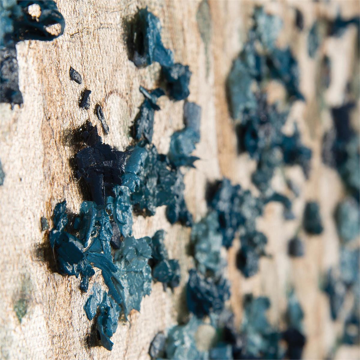 Teng Fei's Silvered Dogwood – Art by John Richard | Sutter & Vale
