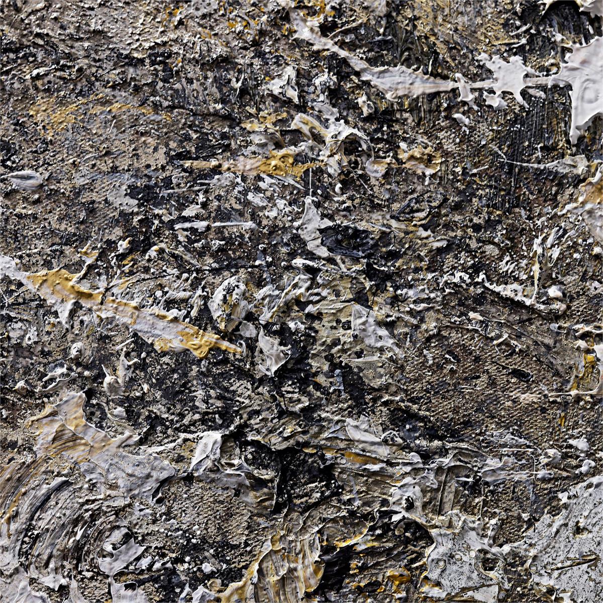 Liu Mengzhou's Constellation – Art by John Richard | Sutter & Vale