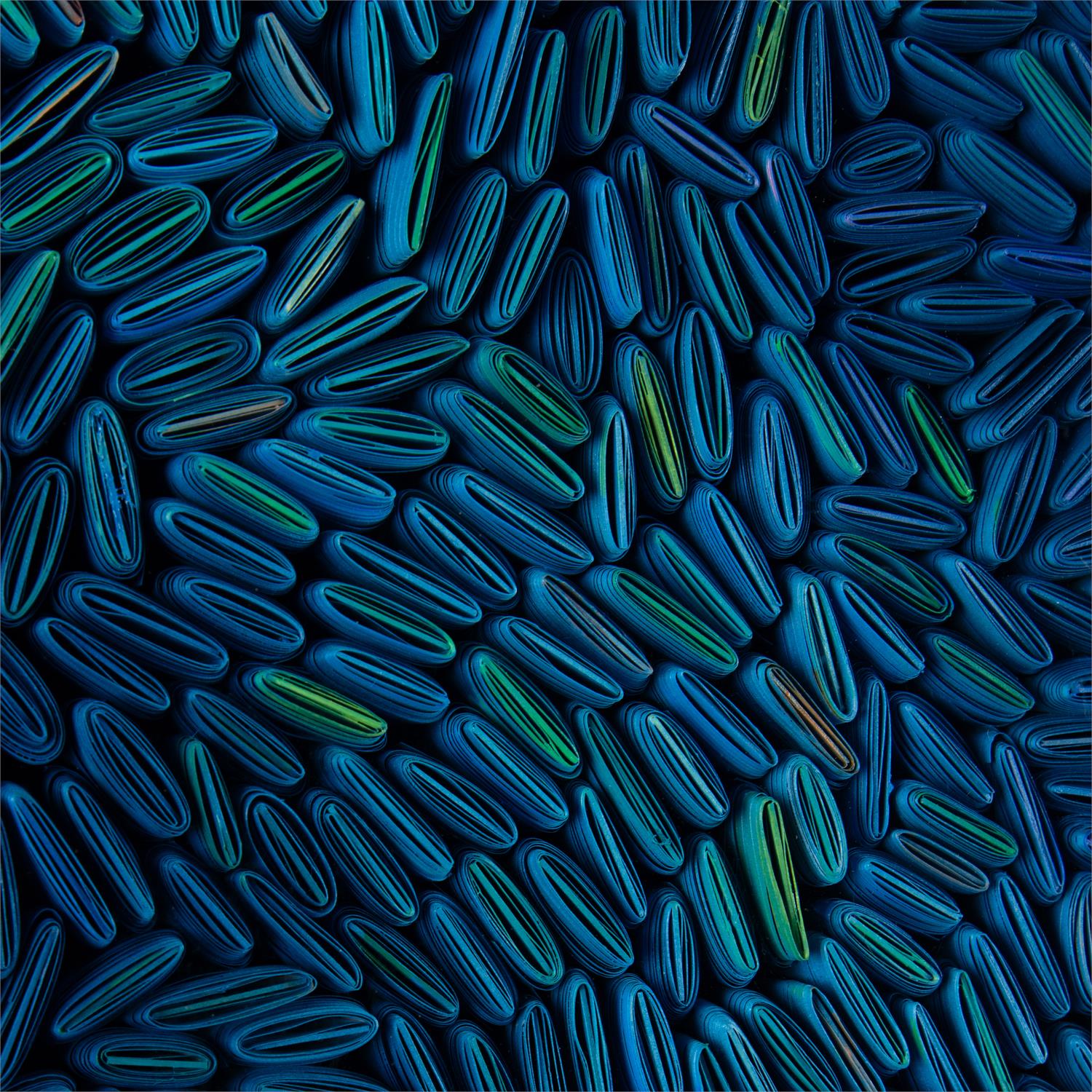 Tony Fey's Cerulean Swells
