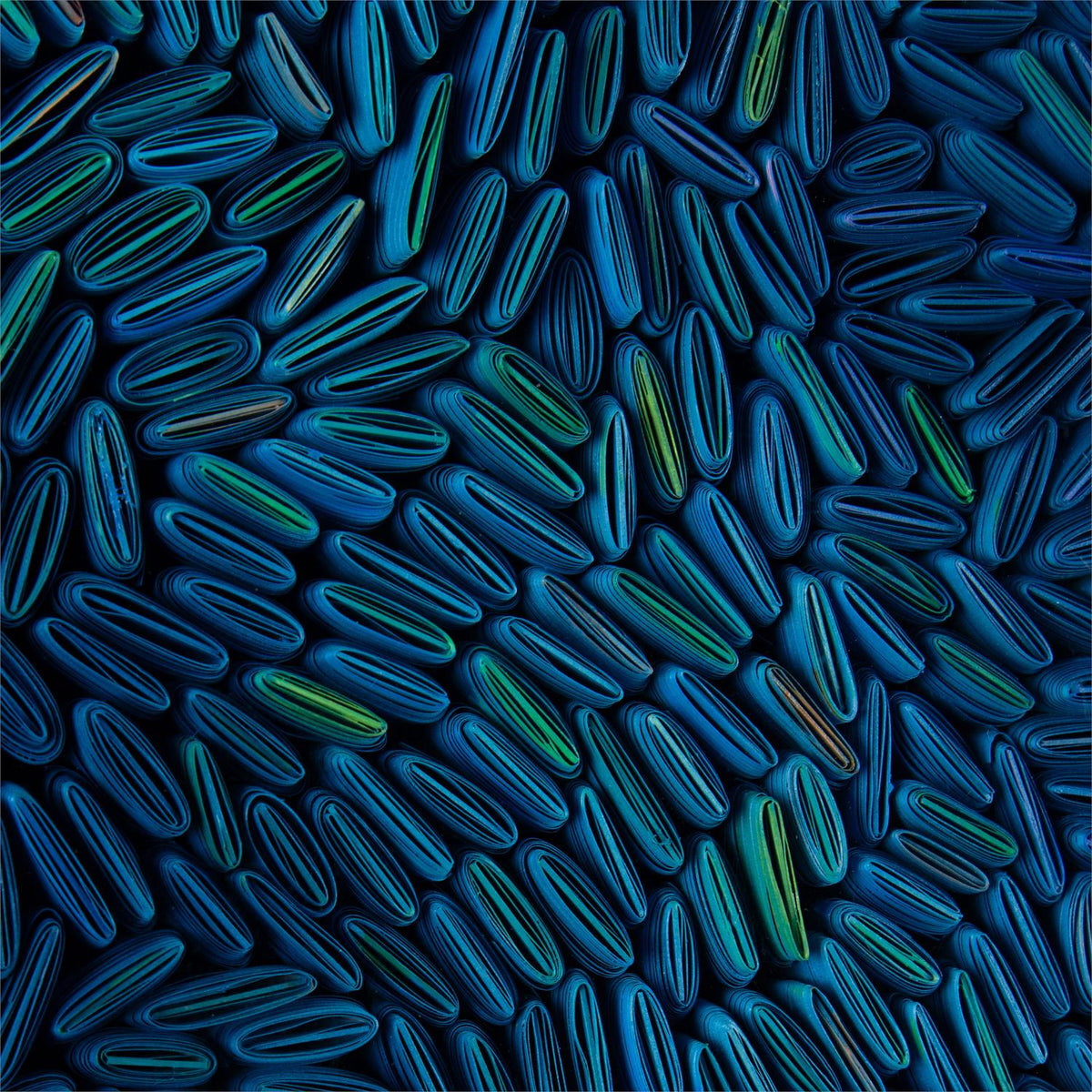 Tony Fey's Cerulean Swells