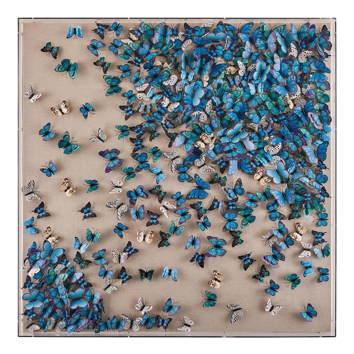 Tony Fey's Flight of the Butterflies by John Richard | Sutter & Vale