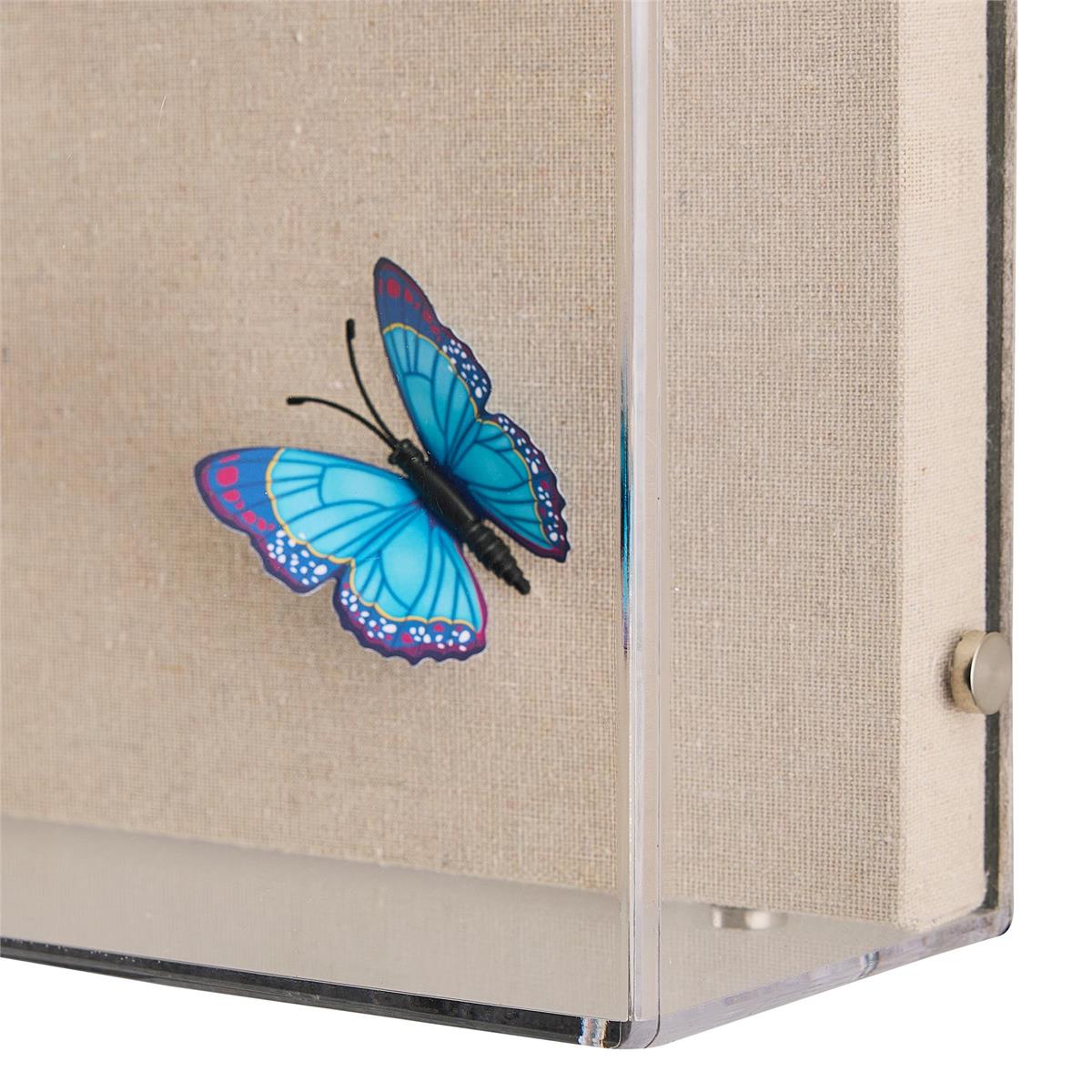 Tony Fey's Flight of the Butterflies by John Richard | Sutter & Vale
