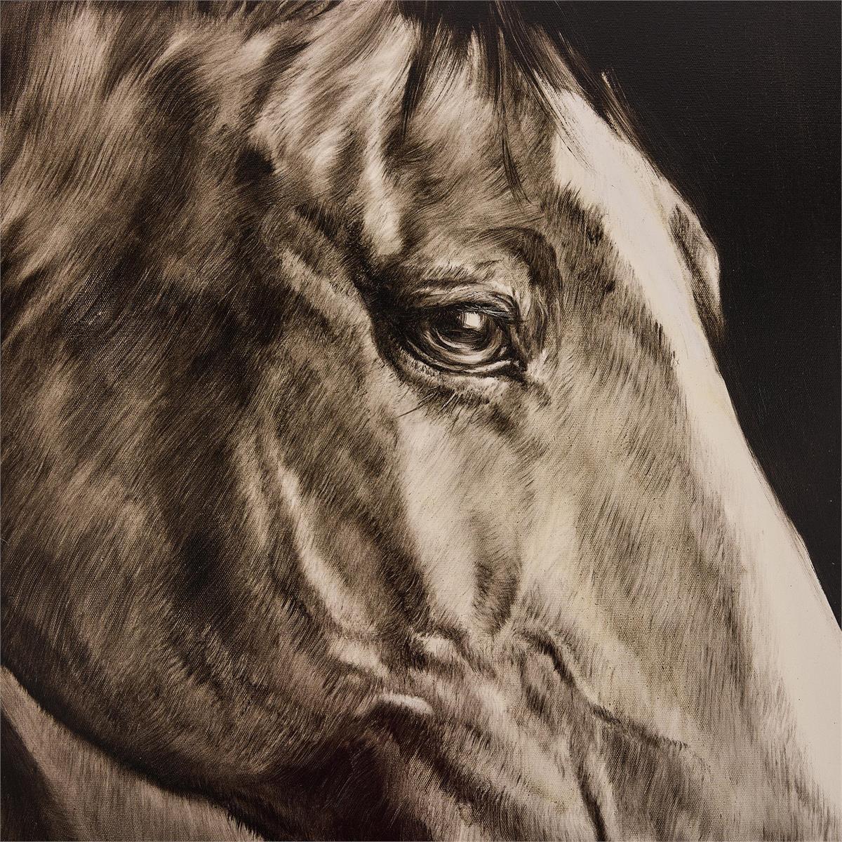 LM Zhou's Noble Equine by John Richard | Sutter & Vale