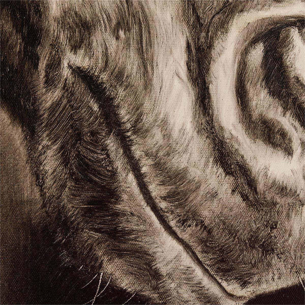 LM Zhou's Noble Equine by John Richard | Sutter & Vale