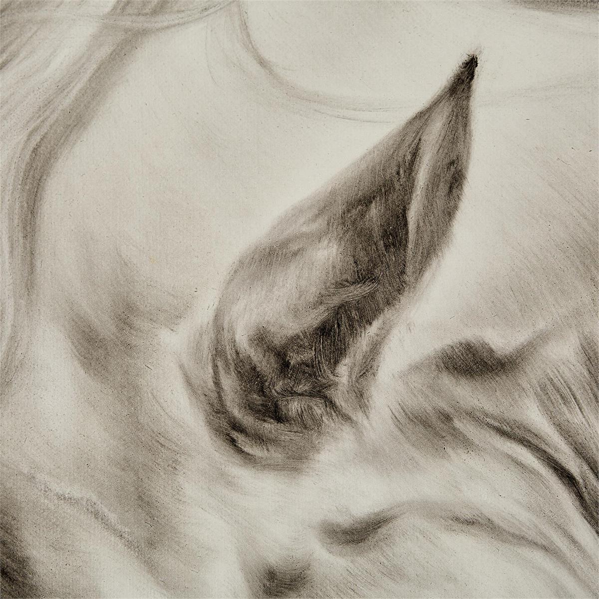 Liu Mengzhou's Surging Equine – Art by John Richard | Sutter & Vale