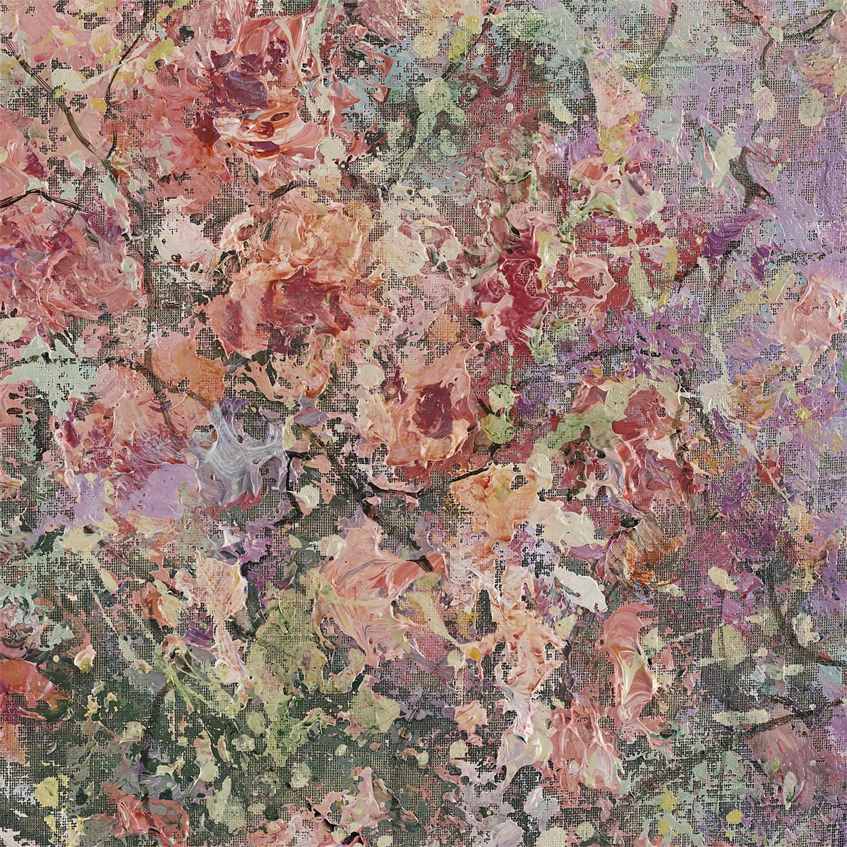Teng Fei's Blushing Meadow