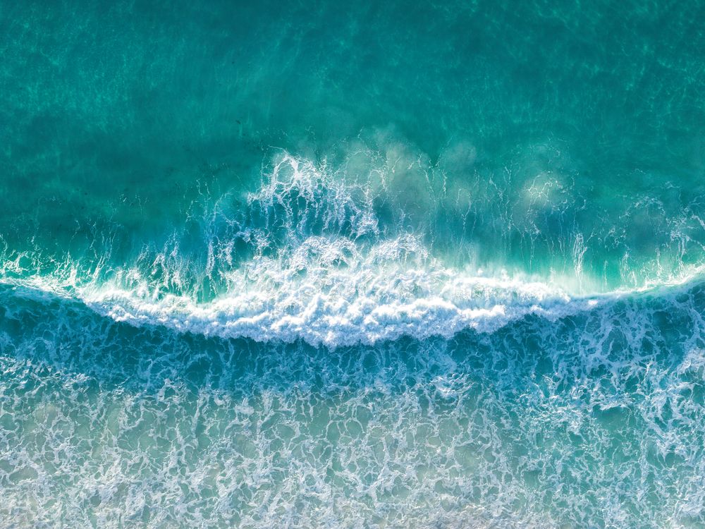 Fleeting Paradise 1 — artwork