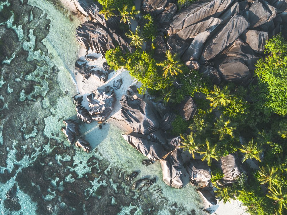 Paradise Shore 1 artwork