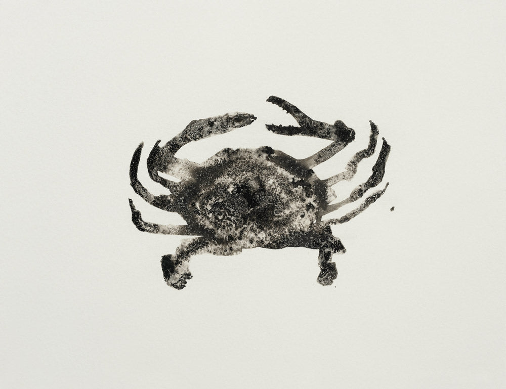 Ocean Creatures 1 artwork