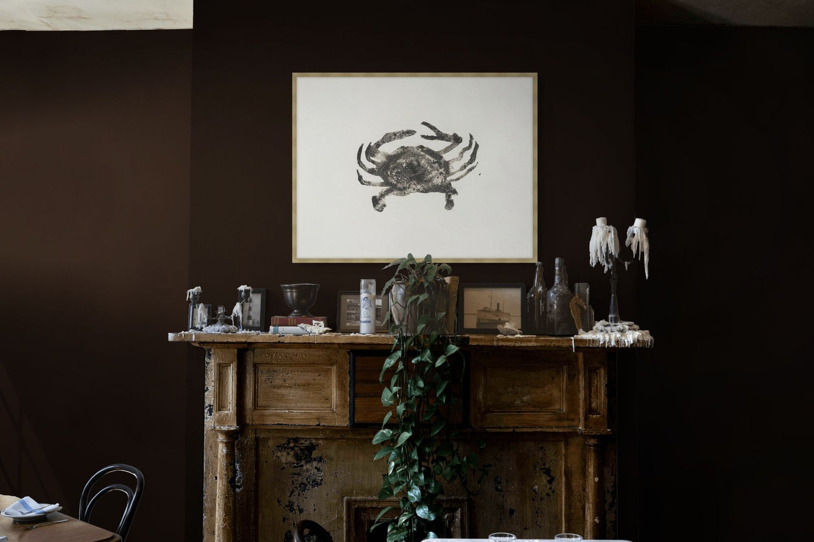 Ocean Creatures 1 in a room